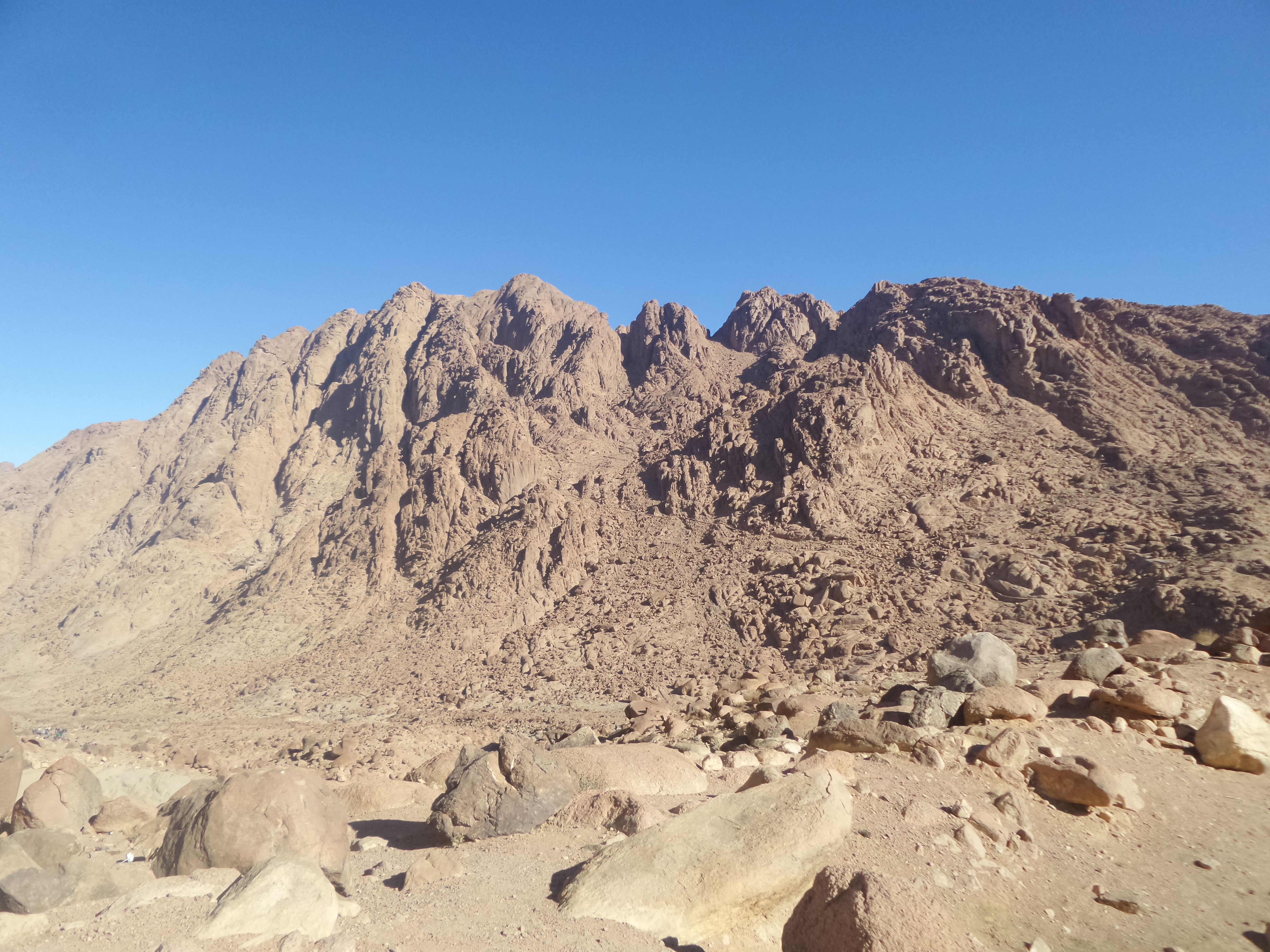Saint Catherine 3