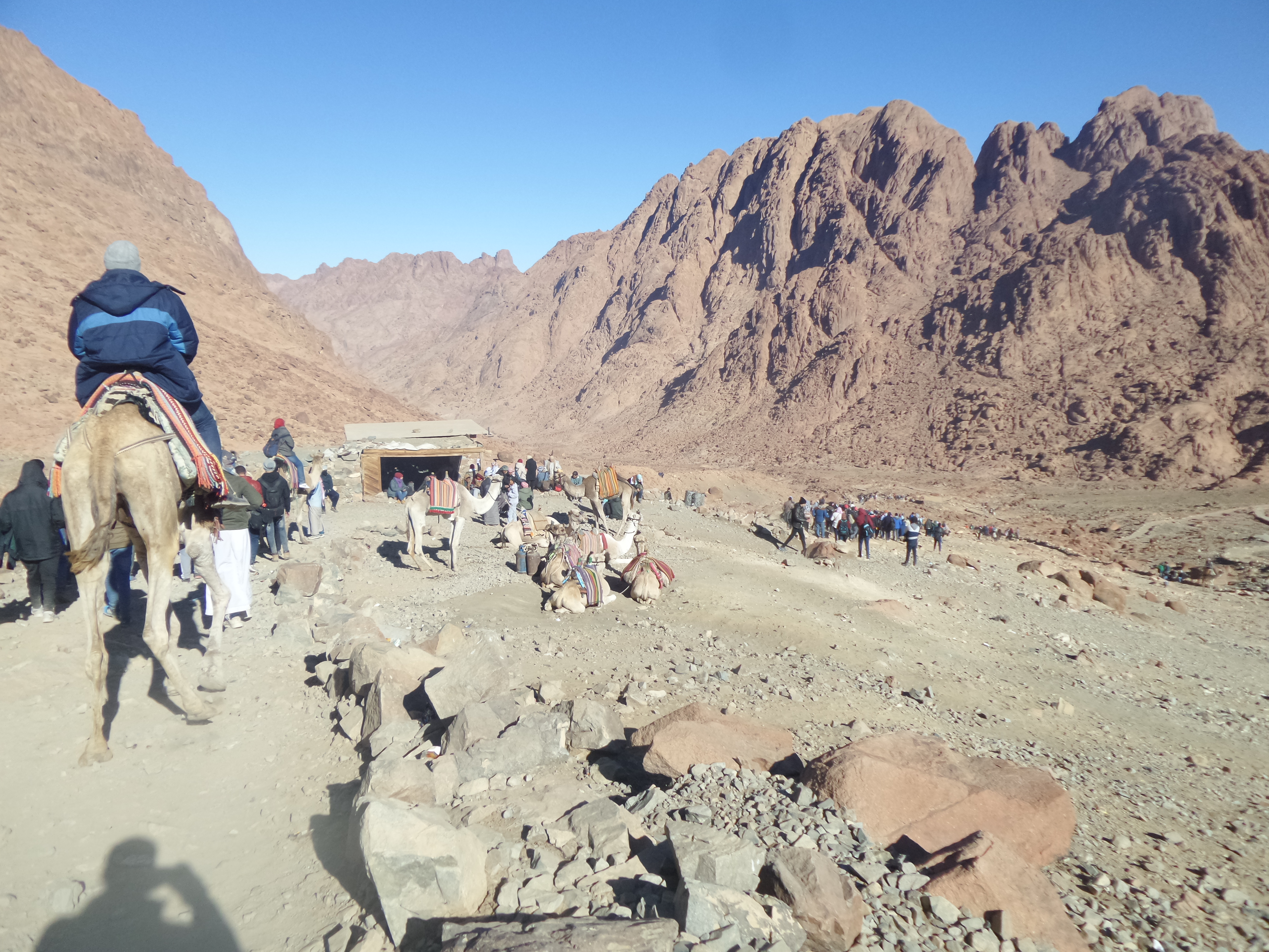 Saint Catherine 1
